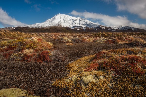 TO03 - Frosty Ruapehu - Tongariro National Park, Manawatu-Wanganui.jpg
